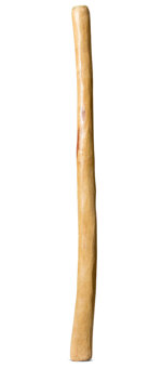 Medium Size Natural Finish Didgeridoo (TW1448)